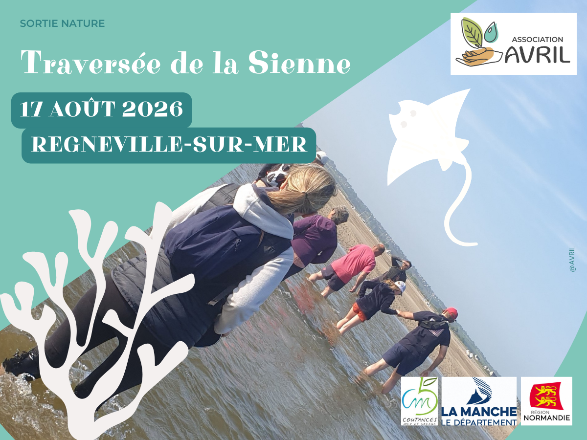 Traversée de la Sienne  Regnéville-sur-Mer 2026-08-17