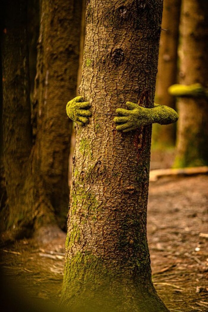 Tree Hug, Maison de Chateaubriand, Châtenay-Malabry