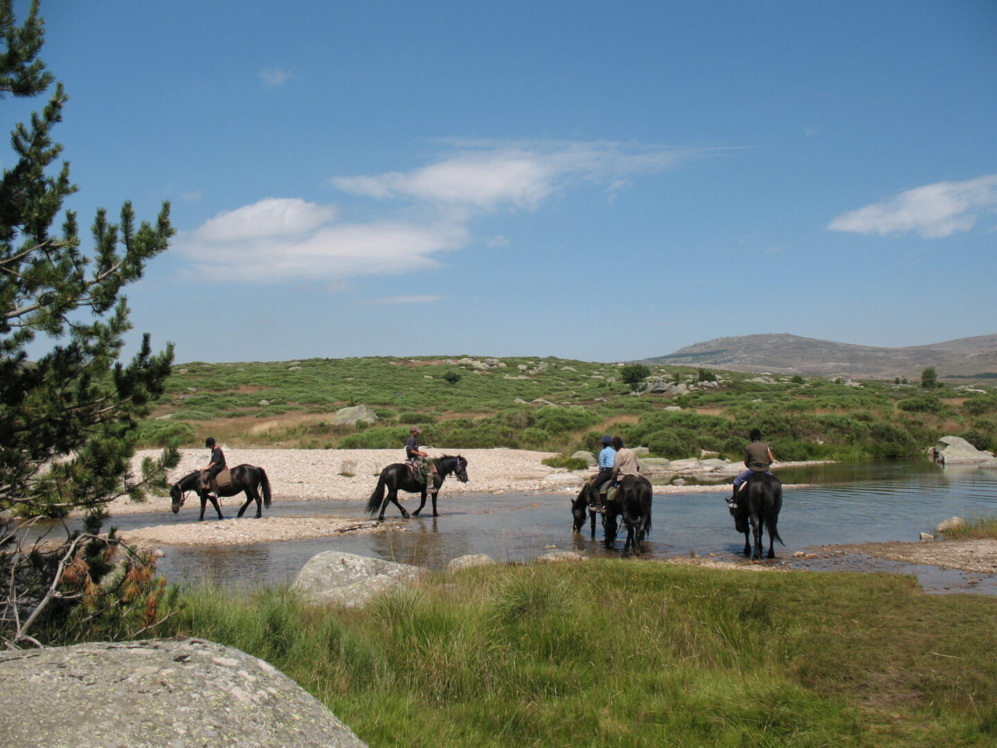 TROIS JOURS A CHEVAL SUR LE MONT LOZERE St Maurice de Ventalon Pont de Montvert Sud Mont Lozère