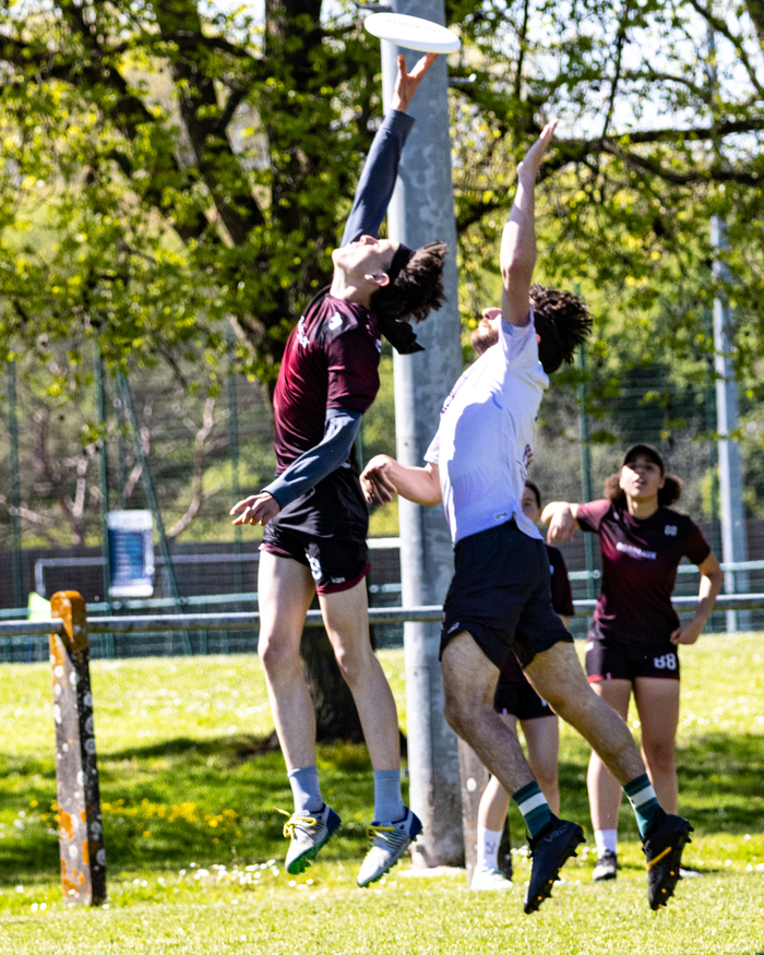 Ultimate-frisbee – phase européenne Summer tour, plaine des sports Colette Besson, Bordeaux