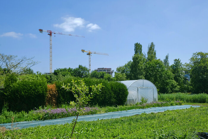 Un après-midi à la ferme de Quincé La Ferme de Quincé Rennes