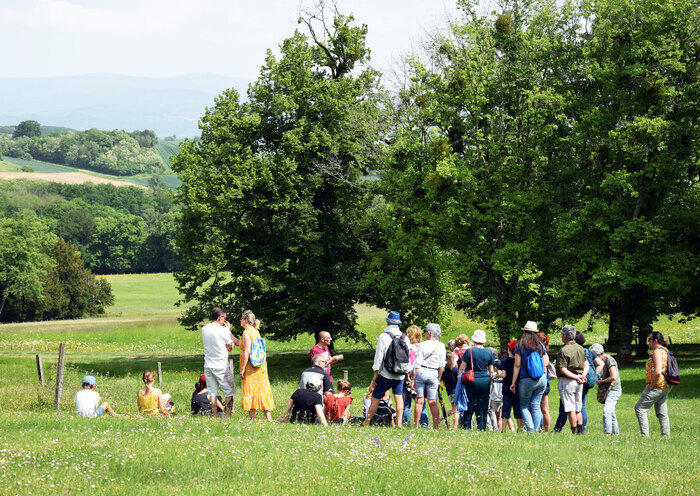 Un après-midi au jardin du domaine royal de Randan Domaine royal de Randan Randan