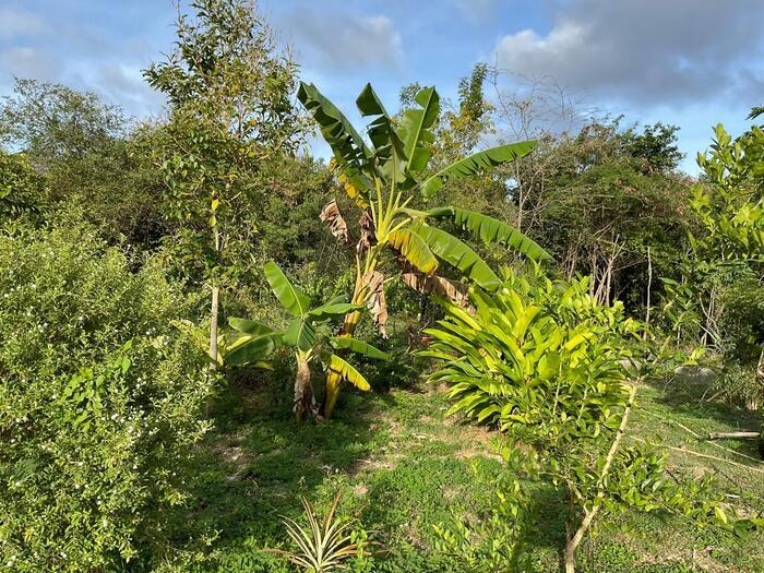 Un dépaysement au Paradis ! Gavod'paradise Saint-François