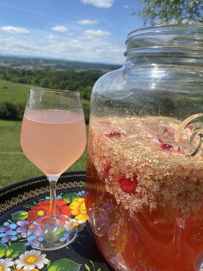 Un dimanche après-midi à la ferme…, La ferme de Plaisance, Montesquieu-Volvestre