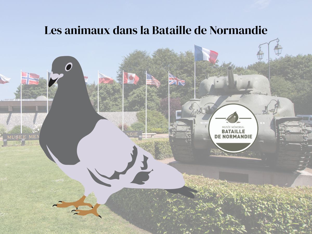 Vacances d'automne au musée Boulevard Fabian Ware Bayeux 2026-10-19