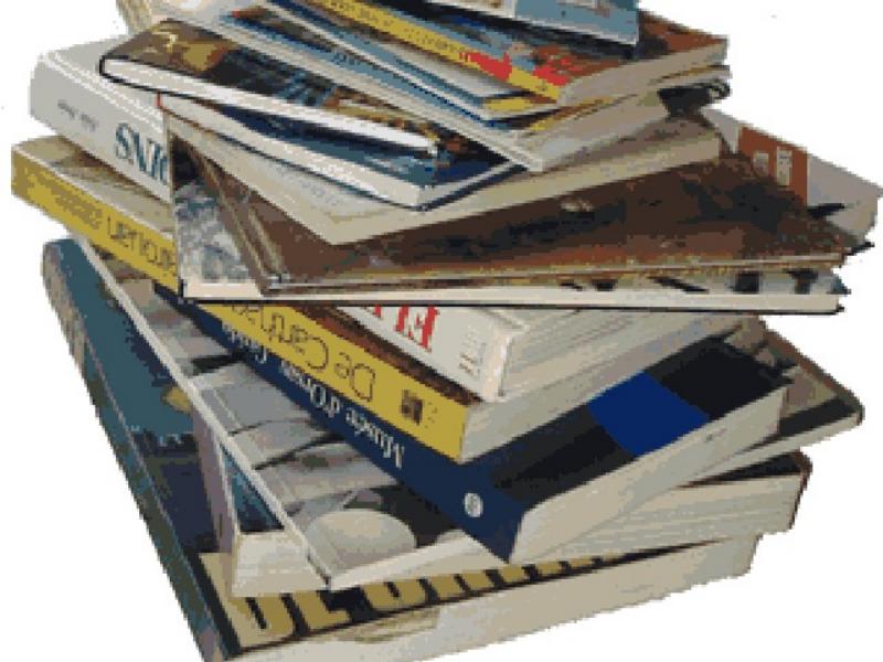 Vente de livres d'occasion Boulevard de la Mer Hendaye 2026-08-18