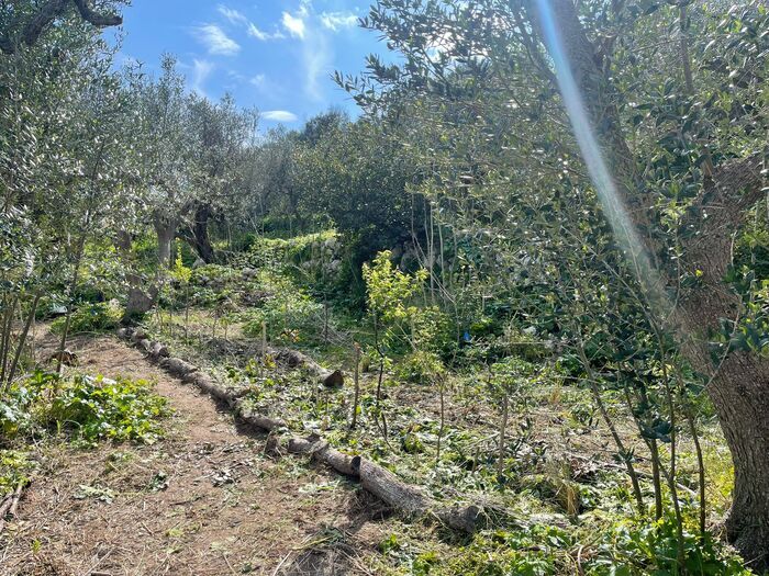 Verde generativo : visite des jardins d’Acànto, Giardini di Acànto, Castro, Castro