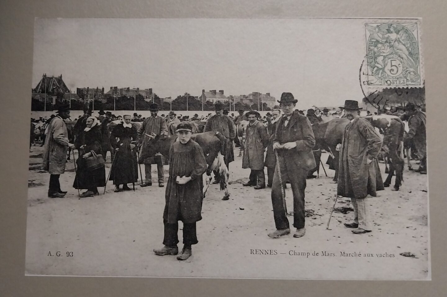 Marché aux vaches au Champ de Mars à Rennes