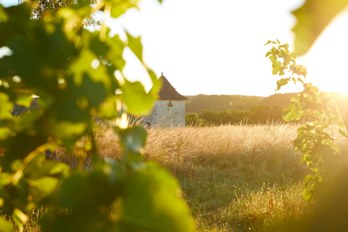 Vignoble des Verdots | Dîner dans les vignes 425 Impasse des Verdots Conne-de-Labarde 2026-06-26