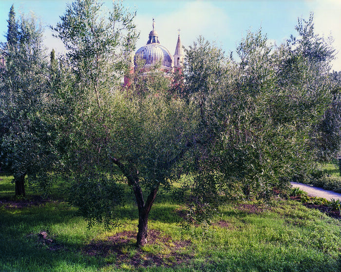 Visite à la découverte du jardin potager du SS.Redentore, Orto Giardino del Convento della Chiesa del SS. Redentore, Venezia