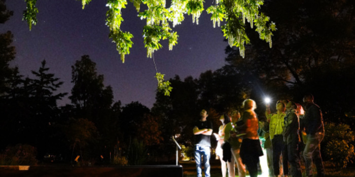 Visite botanique du Jardin à la lampe torche, Jardin Botanique de Bordeaux, Bordeaux