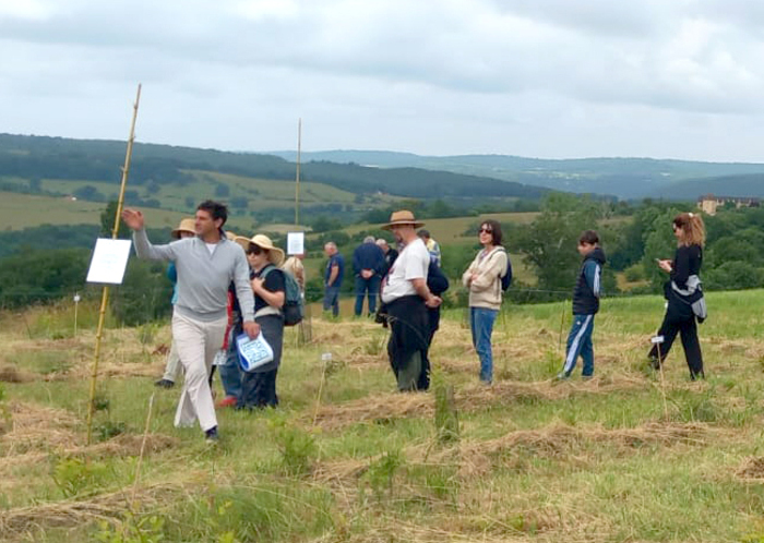 Visite commentée de la création des jardins Labyrinthes Melliféériques, Les jardins labyrinthes melliféériques, Causse-et-Diège