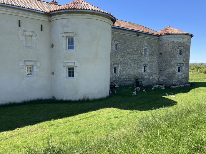 Visite commentée du château d'Etreval Château Etreval Étreval