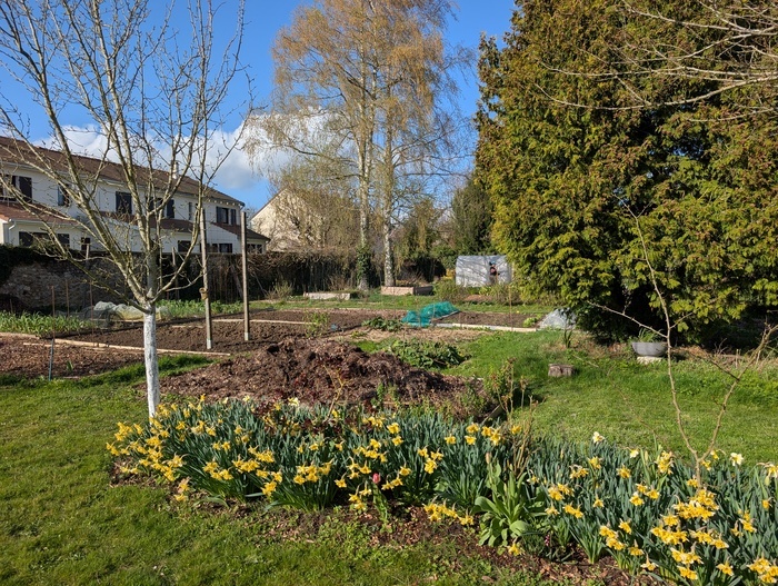 Visite commentée du Jardin de Félix, Jardin de Félix, Montigny-le-Bretonneux