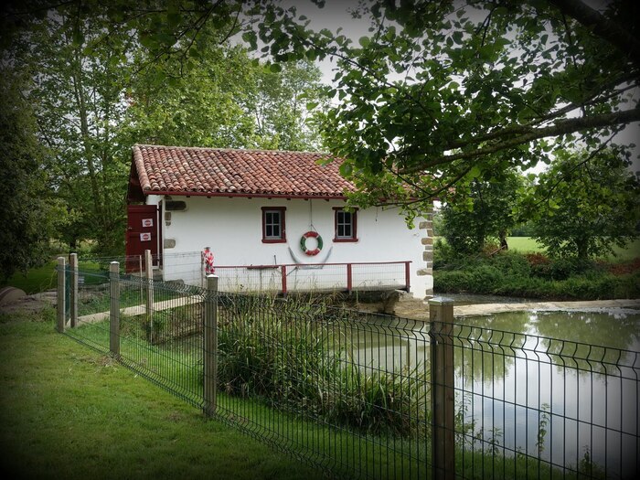 Visite commentée d'un moulin à eau rénové. Moulin à eau rénové Amendeuix