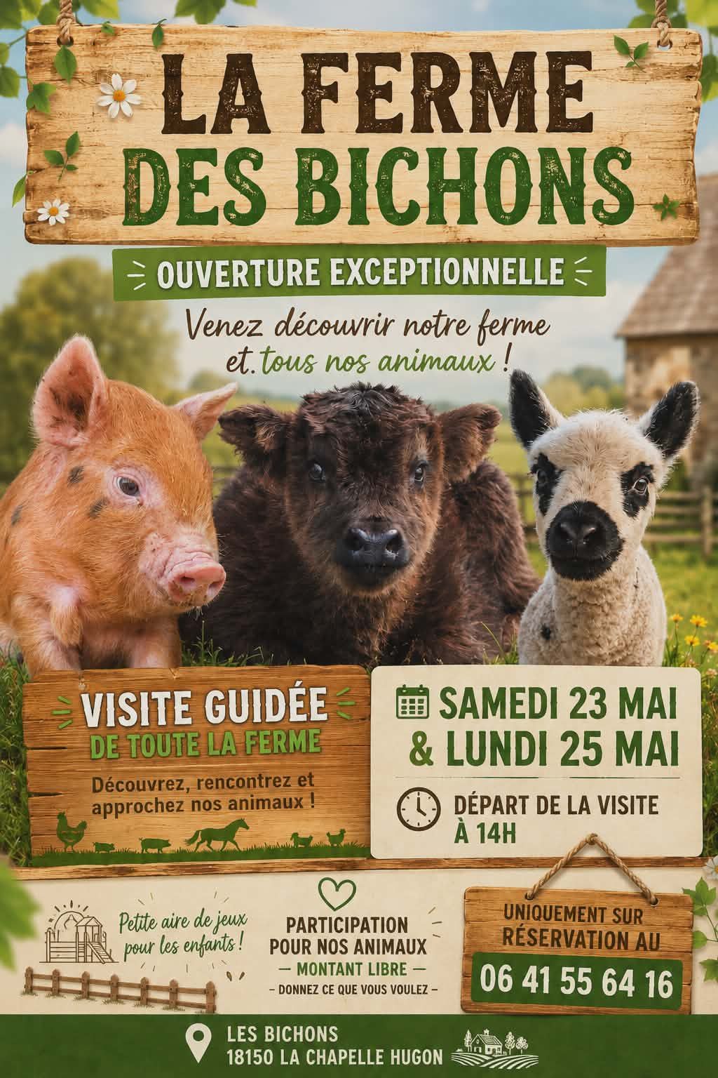 Visite de la Ferme des Bichons Les bichons La Chapelle-Hugon 2026-05-23