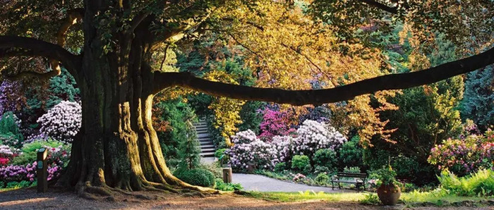 Visite de l’arboretum de Wojsławicach, Wojsławice Arboretum, Niemcza
