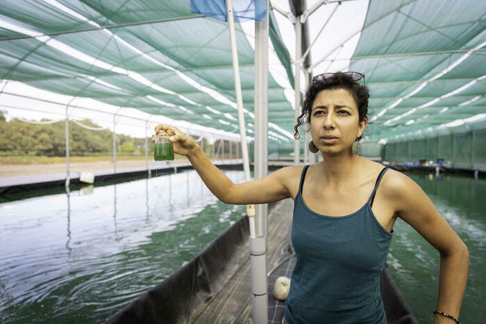Visite de l’exploitation : Ferme de l’Or Vert (production de spiruline), Bruges, Bruges
