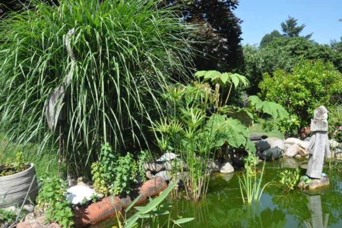 Visite découverte du jardin, Le Clos Saint Genest, Labarthe-Inard