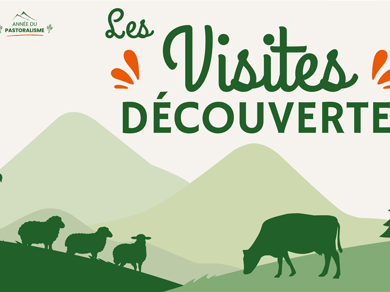 Visite découverte nature Urbès