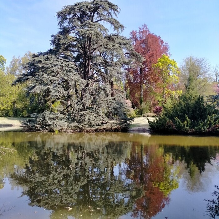 Visite découverte « Points de vue sur les jardins » Domaine national de Saint-Cloud Saint-Cloud