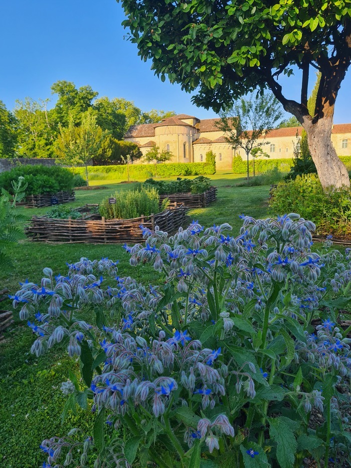 Visite des jardins de l’abbaye de Flaran, Jardins de l’abbaye de Flaran, Valence-sur-Baïse