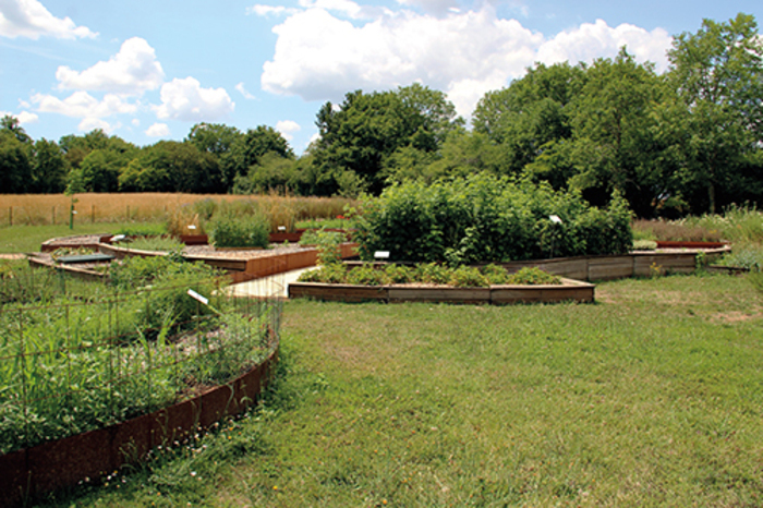 Visite du jardin botanique et de la parcelle agricole expérimentale, Musée des tumulus de Bougon, Bougon