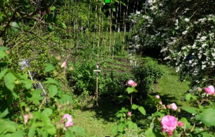 Visite du jardin Cérémonium Jardin Cérémonium N°19 Valmondois