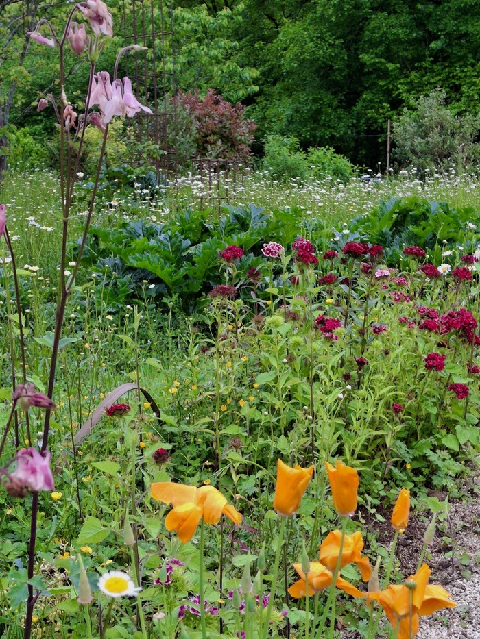 Visite du Jardin créagire, Jardin artistique et vivant – Créagire, Sengouagnet