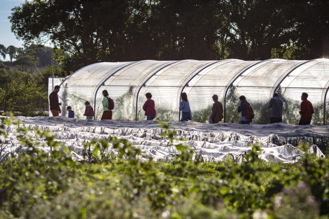 Visite du Jardin de deux’main ferme agroécologique Tiers-Lieu L’arbre Commes