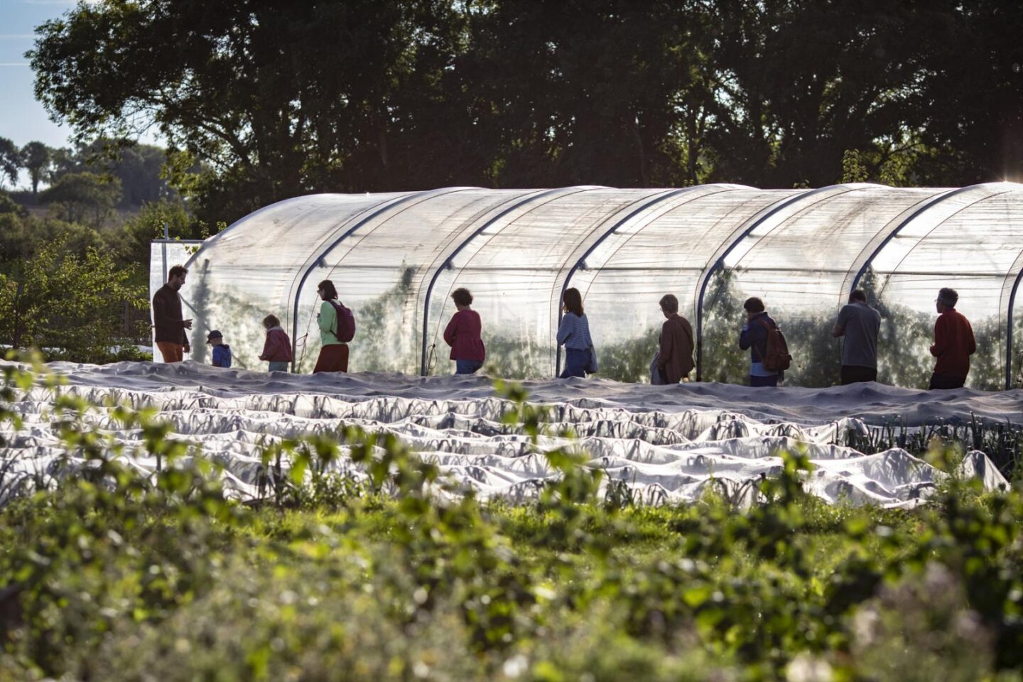 Visite du Jardin de deux'main ferme agroécologique 15 route de Port Commes 2026-07-21