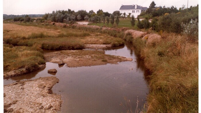 Visite du Jardin de Germaine Tillion et observation des oiseaux, Jardin Germaine Tillion, Plouhinec