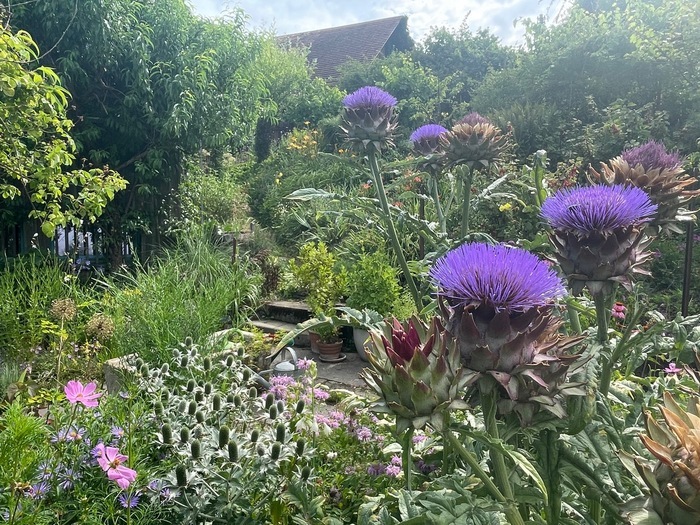 Visite du jardin de la communauté d’habitation Obere Mühle à Kaltenbach Hausgemeinschaft Obere Mühle Kaltenbach