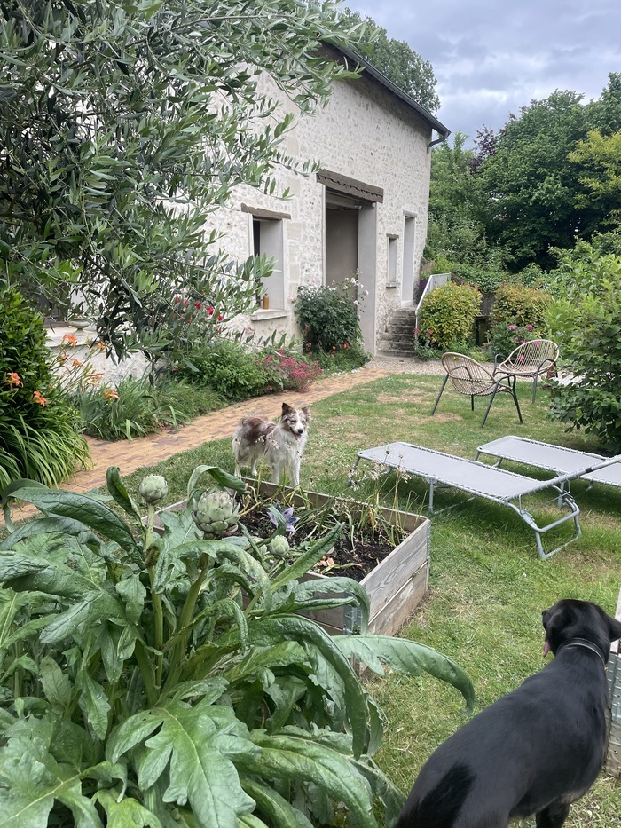 Visite du Jardin de la mode : Défilé de mode Jardin de No Mad Gîte Arronville