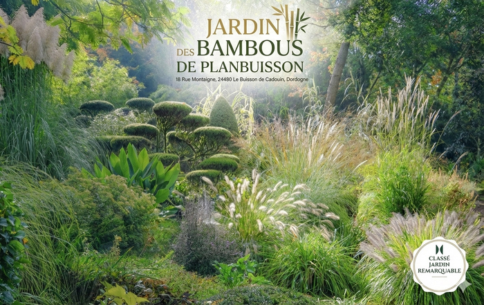 Visite du jardin de Planbuisson, Les bambous de Planbuisson, Le Buisson-de-Cadouin