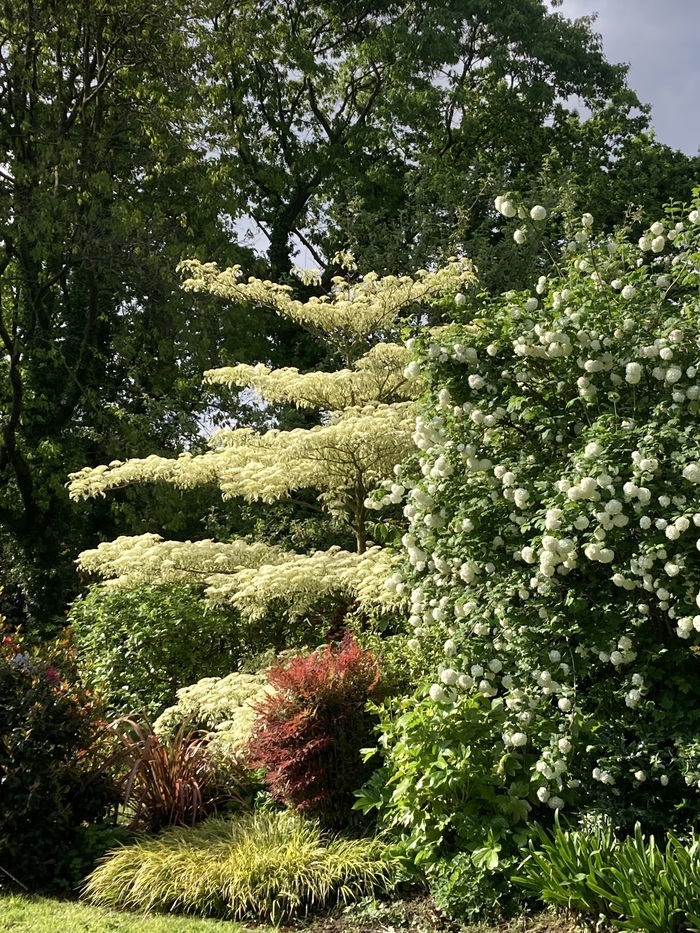 Visite du jardin du Grand Clos, Jardin du Grand Clos, Le Fœil