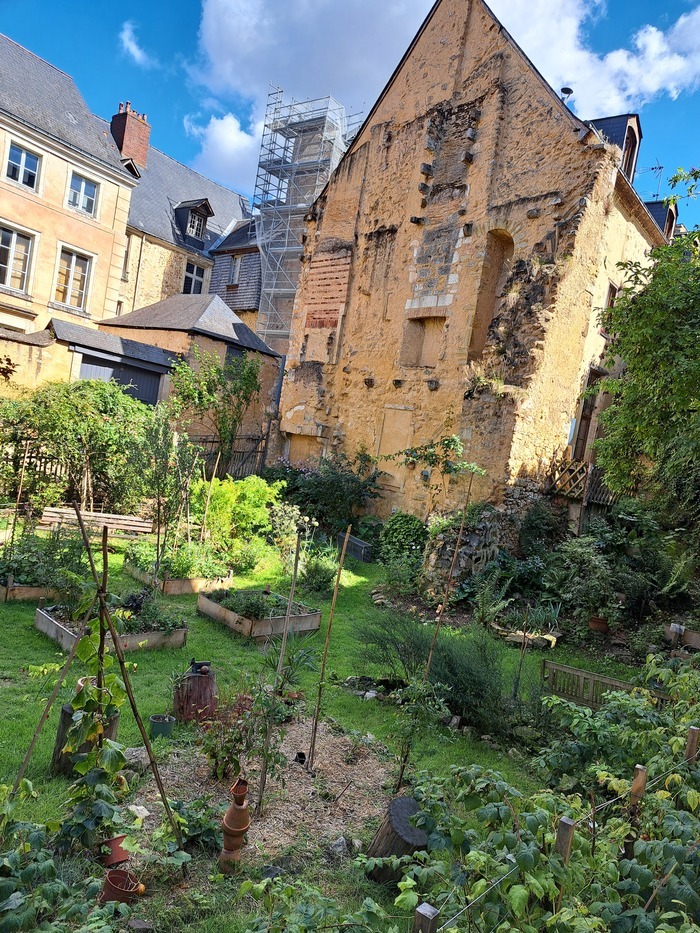 Visite du Potagenêt - jardin partagé Potagenêt - jardin partagé Le Mans
