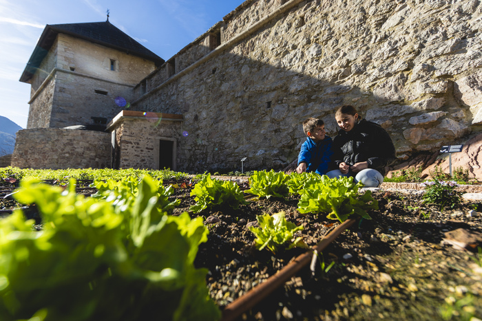 Visite du potager de Thun Castel Thun Vigo di Ton
