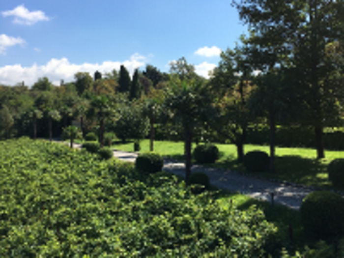 Visite du vignoble et du jardin COLLEPASTE Scanzorosciate