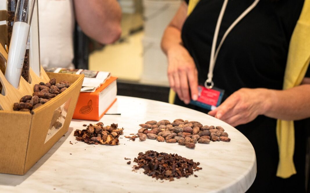 Visite guidée Chocolat gourmand Bayonne
