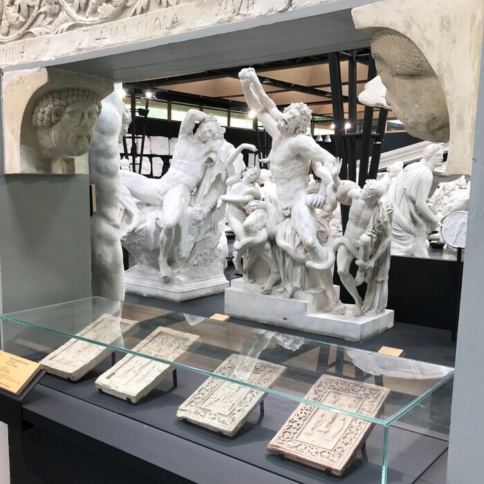 Visite guidée courte du Musée des Moulages Musée des Moulages Montpellier