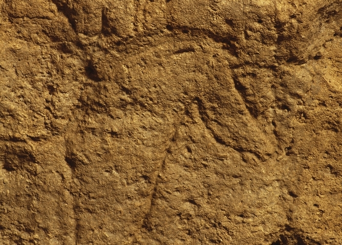 Visite guidée de la Grotte de Pair-non-Pair Grotte de Pair-non-Pair Prignac-et-Marcamps