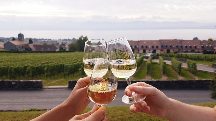 Visite guidée de la Pépinière viticole et dégustation, Domaine Les Gam’notes, Mont-sur-Rolle