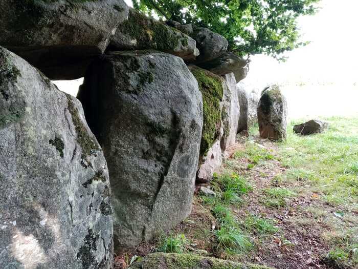 Visite guidée de La Table au diable Allée couverte de la Table au Diable Passais-Villages