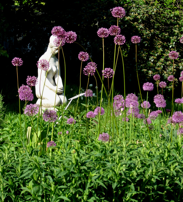 Visite guidée de l’arboretum de Buda, Budapest, Budapest