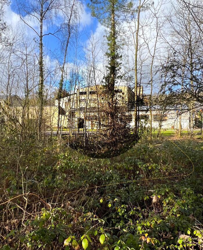 Visite guidée découverte de la faune et de la flore des Nouvelles Coordonnées Les Nouvelles Coordonnées Fontaine-l'Abbé