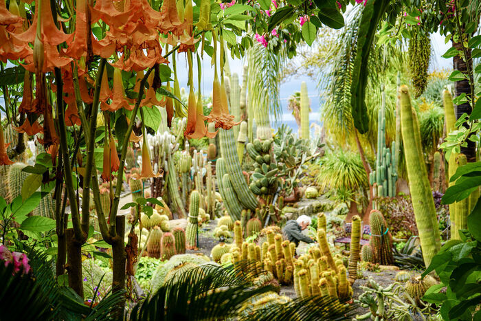 Visite guidée des jardins du Ravino, Giardini Ravino, Forio