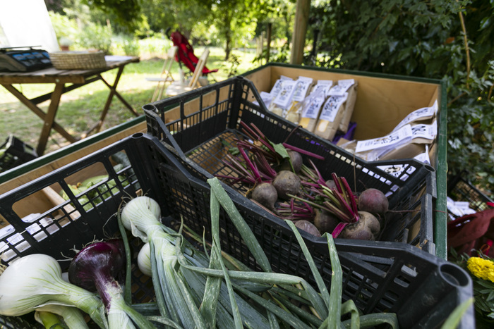 Visite guidée du jardin des fruits de Marta Parco Storico di Villa Zileri Motterle Monteviale