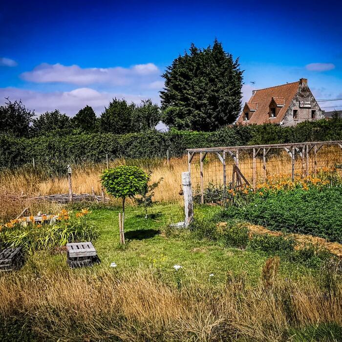 Visite guidée du jardin Het Wilgenhof, Le jardin des saules – Het Wilgenhof, Bollezeele