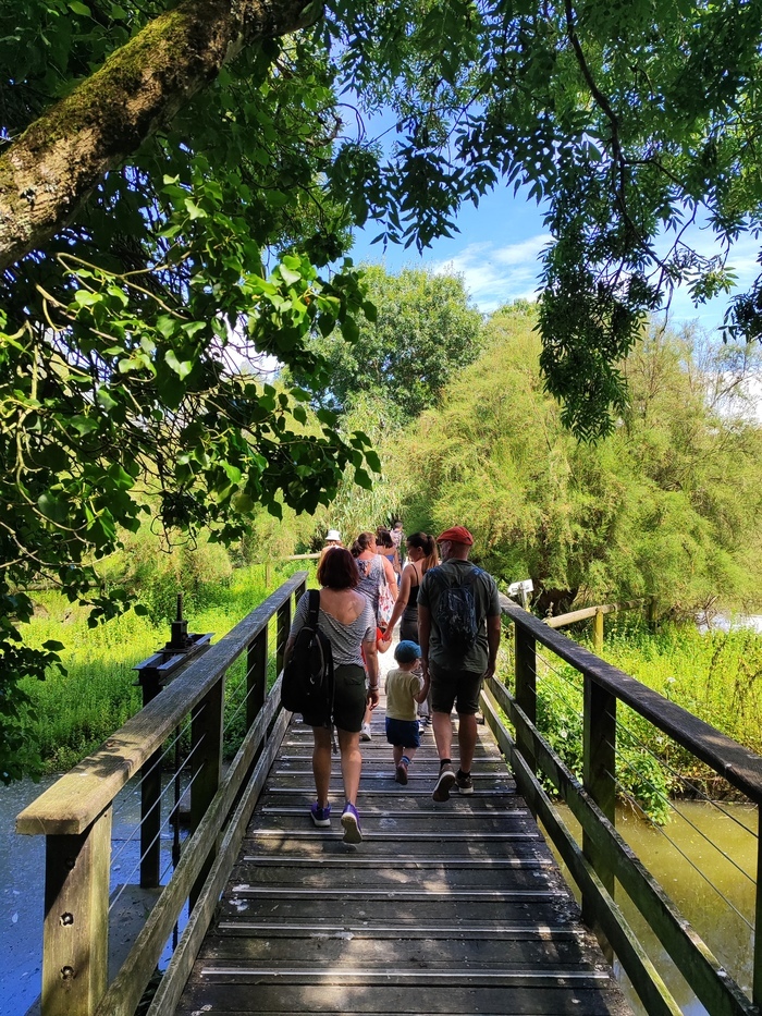 Visite guidée du Marais aux Oiseaux, Le Marais aux Oiseaux, Les Allards